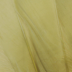 FFGene Goose Shoulders