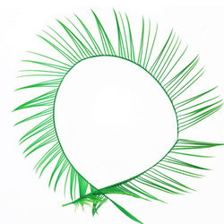 FFGene zosu bioti