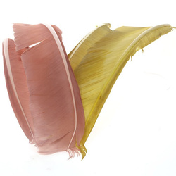 Hareline bioty z krocaních per