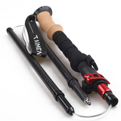 Taimen Deep Water Carbon Wading Staff