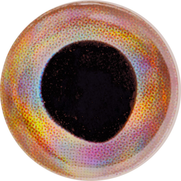 Μάτια για τεχνητές μύγες FFGene FF Gene Living 3-D Eyes