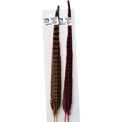 Hareline örvös fácán faroktollai