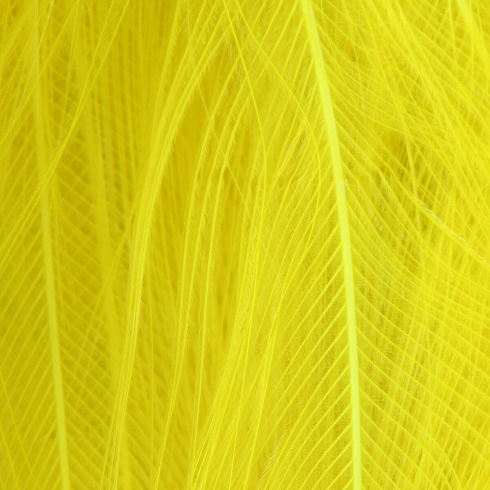 Fl. Yellow