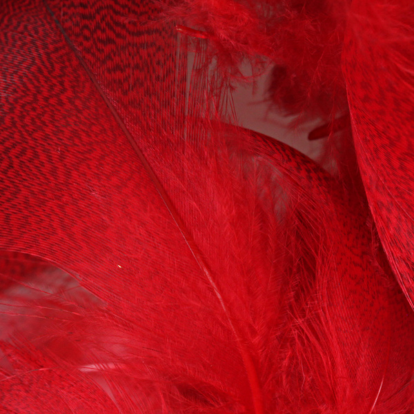 Hareline Sinisorsan kylkisulat