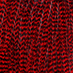 Ewing Grizzly Whole Saddles