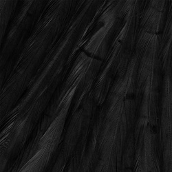 Ewing kokonainen kukonsatula