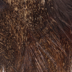 Whiting Coq De Leon Tailing Pack