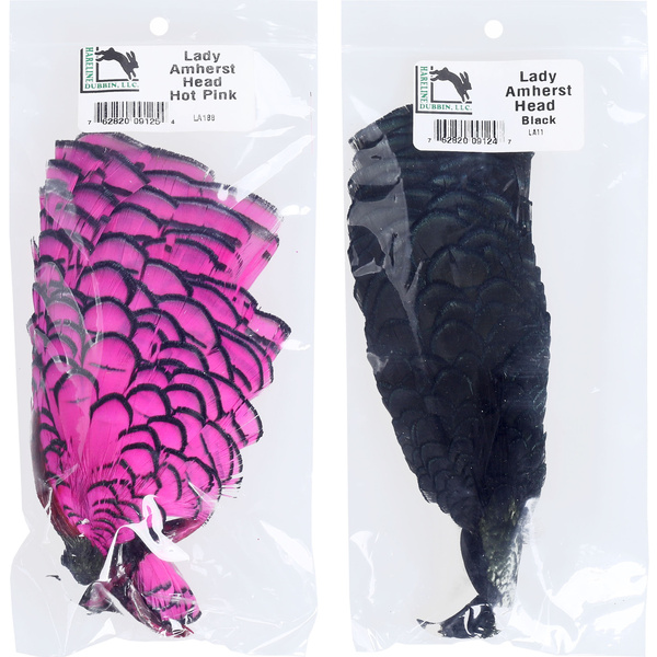 Hareline deimantinio fazano galvos plunksnos
