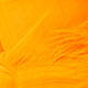 Fl Orange
