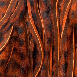 Wapsi Barred Pine Squirrel Skin Zonked