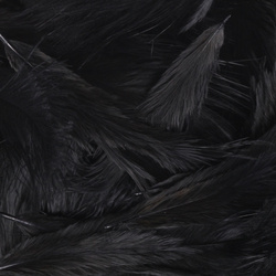 Hareline pene mini marabou