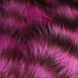 Spirit River UV2 Grizzly Soft Hackle