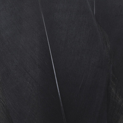 FFGene Goose Shoulders