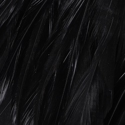 Hareline Woolly Bugger Saddle Hackle 6-7