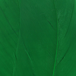 Hareline Select Goose Shoulder