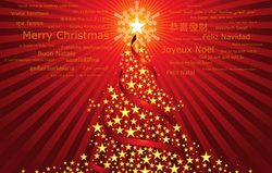 Muselinė meškerė Sage SLT