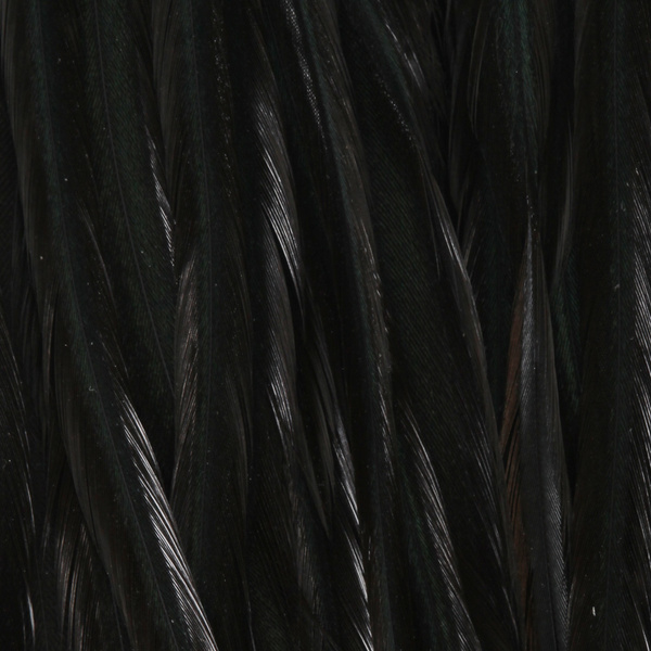 Whiting Dry Fly Saddle