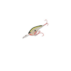 7.0 cm Rapala DT Flat Sure DTFSS07