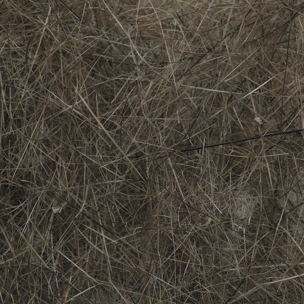 FFGene Nutria Dubbing