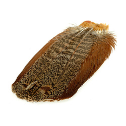 one size