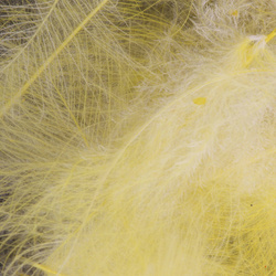 FFGene CDC Color Jambo Pack - 1 gr