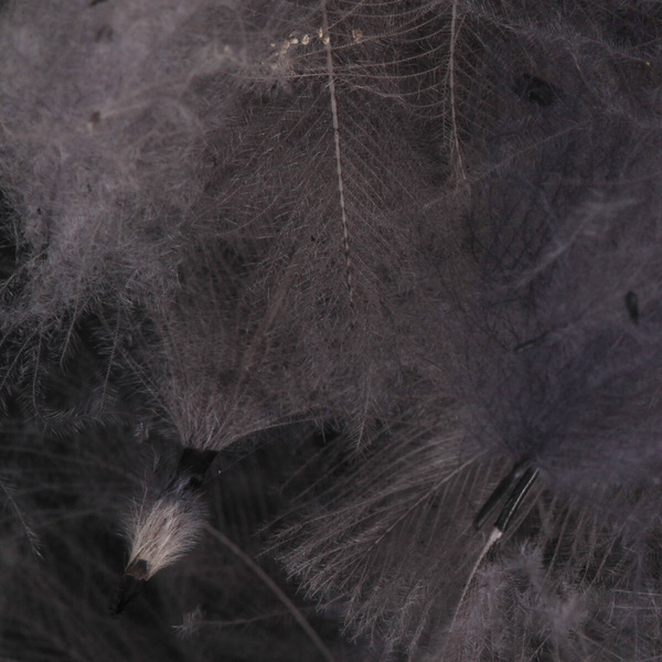 FFGene CDC Color Jambo Pack - 1 gr