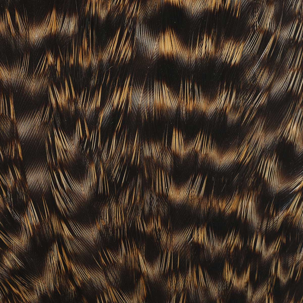 Wapsi Grizzly – hel hönssadel för flugbindning
