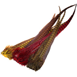 Hareline barvený svazek ocasních paprsků bažanta obecného
