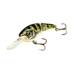 6.2 cm Cotton Cordell Jointed Grappler Shad CDJ14