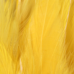FFGene Strung Saddle Hackle