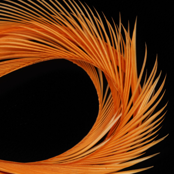 Wapsi гъши биоти