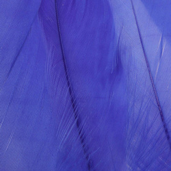 FFGene Goose Shoulders