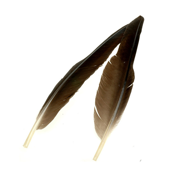 Wapsi Goose Quill