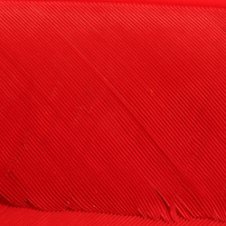 Hareline Turkey Biot Quills