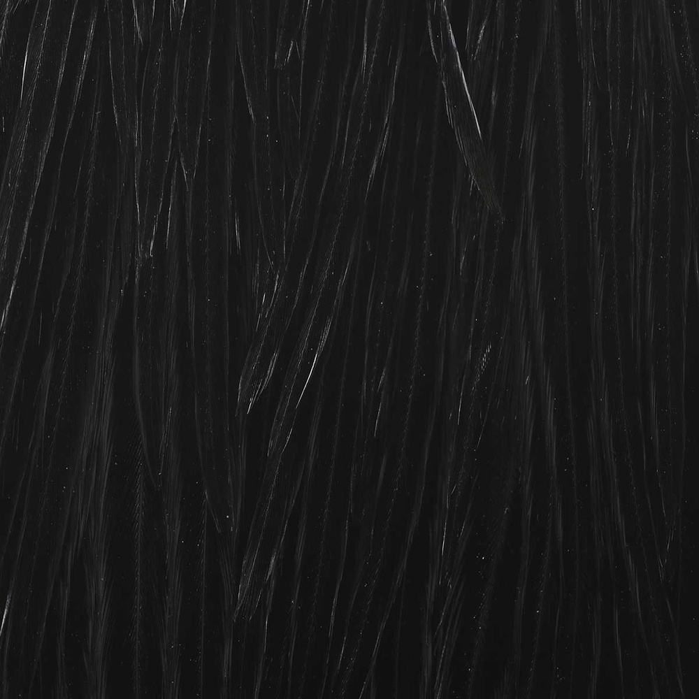 Over White - Black