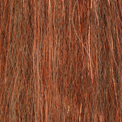 H2O Sculpting Flash Fibre