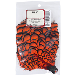 Wapsi Lady Amherst Pheasant Neck