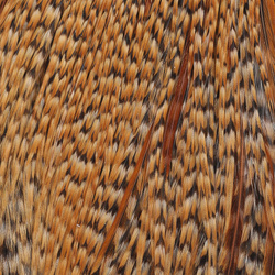 Polovica petelinjega vratu s perjem Metz #3 1/2