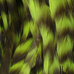 Hareline Grizzly Variant Schlappen