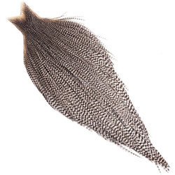 Hahnenbalg Whiting Bronze