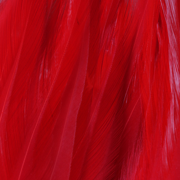 FFGene Strung Saddle Hackle