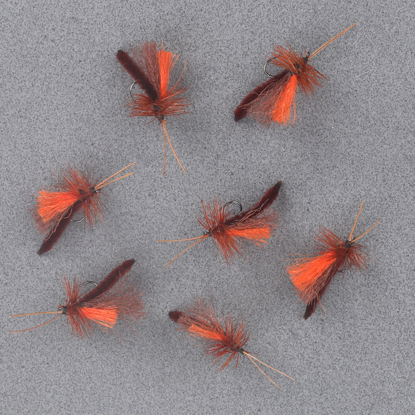 Poly Wings Extended Body Brow Caddis