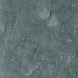 Wapsi Hen Saddle Patches