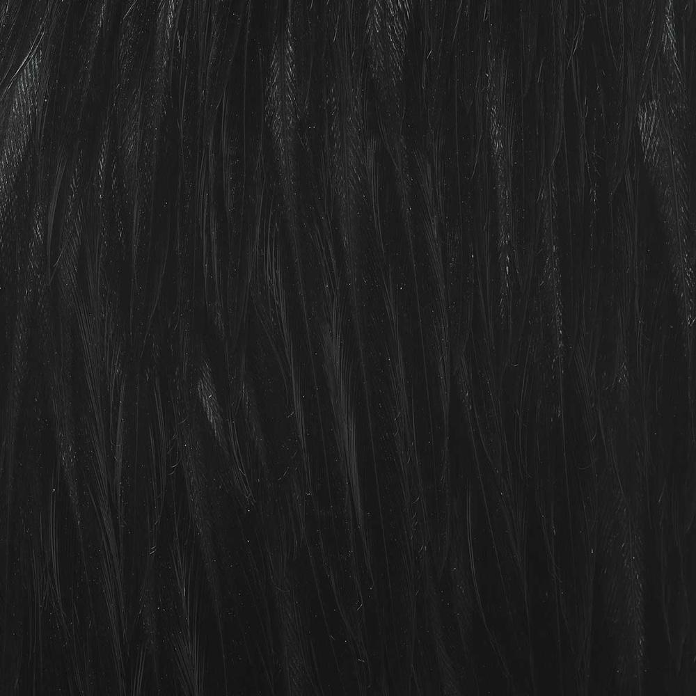 Prime - Dyed Black