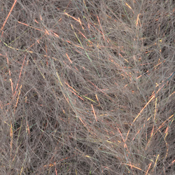 H2O Flash Blend Baitfish Brush 5 inch (flash)