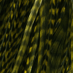 Hareline Half Grizzly Saddles