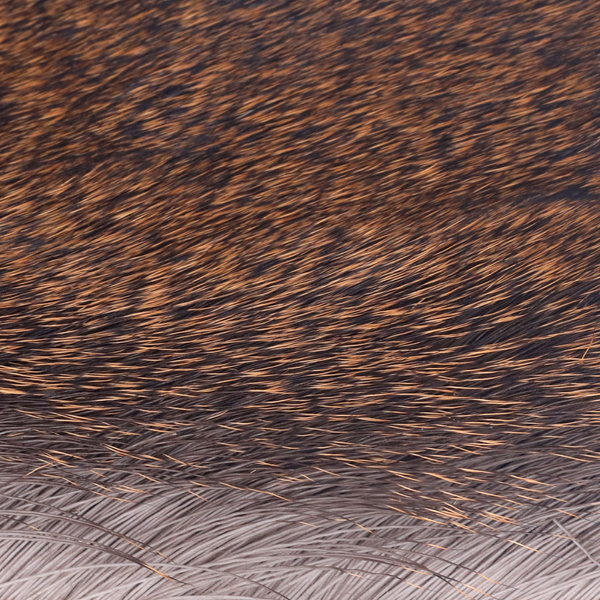 FFGene Premo Deer Hair