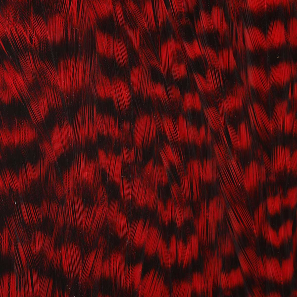 Ewing Grizzly Whole Capes