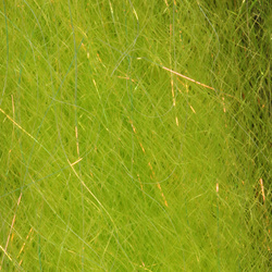 H2O Steve Farrar SF Blend