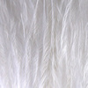 Polar White